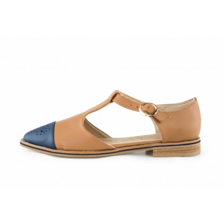Imagen ilustrativa de zapatos para el rubro e-commerce general
